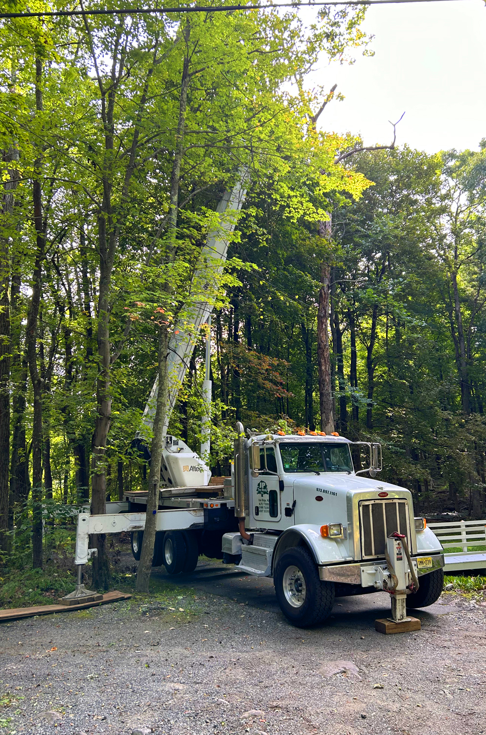 Idylease Tree Service