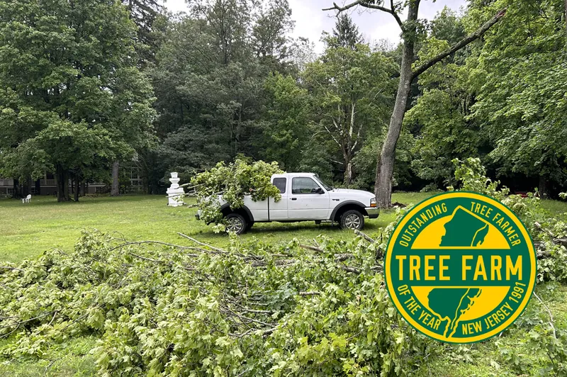 Tree Farm emblem photographed during forestry work at Idylease